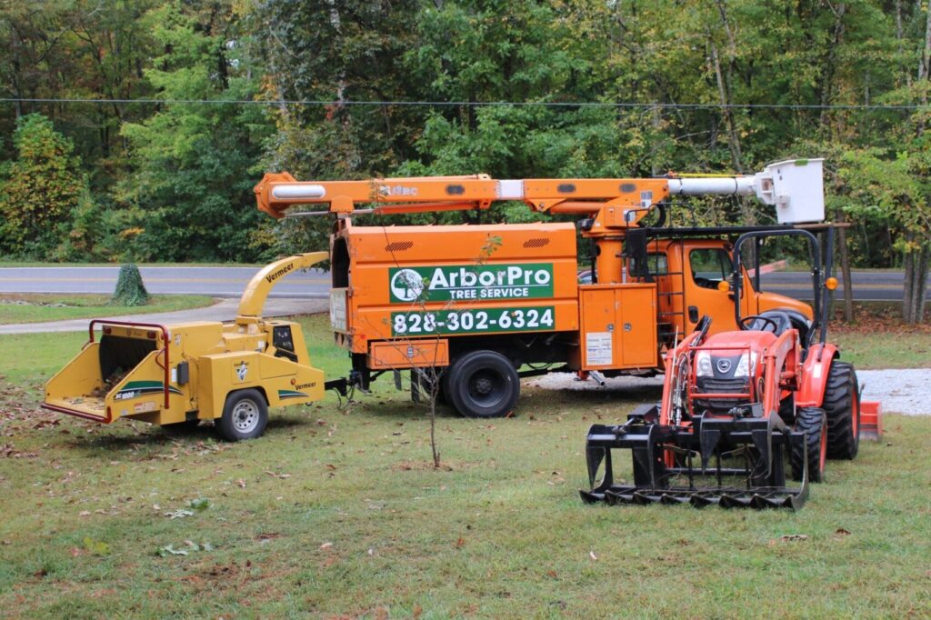 ArborPro Tree Contractor Hickory NC