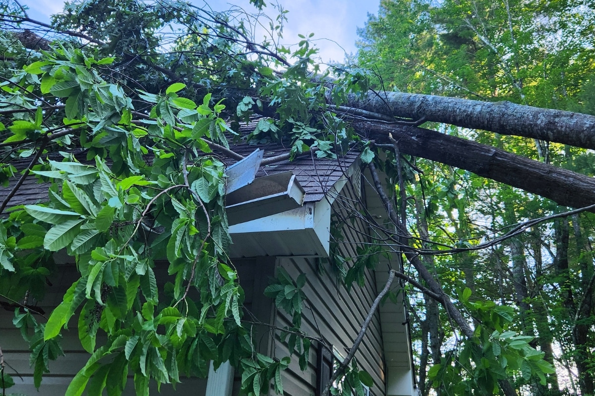Emergency Removal Services House Roof Damage ArborPro Tree Service North Carolina