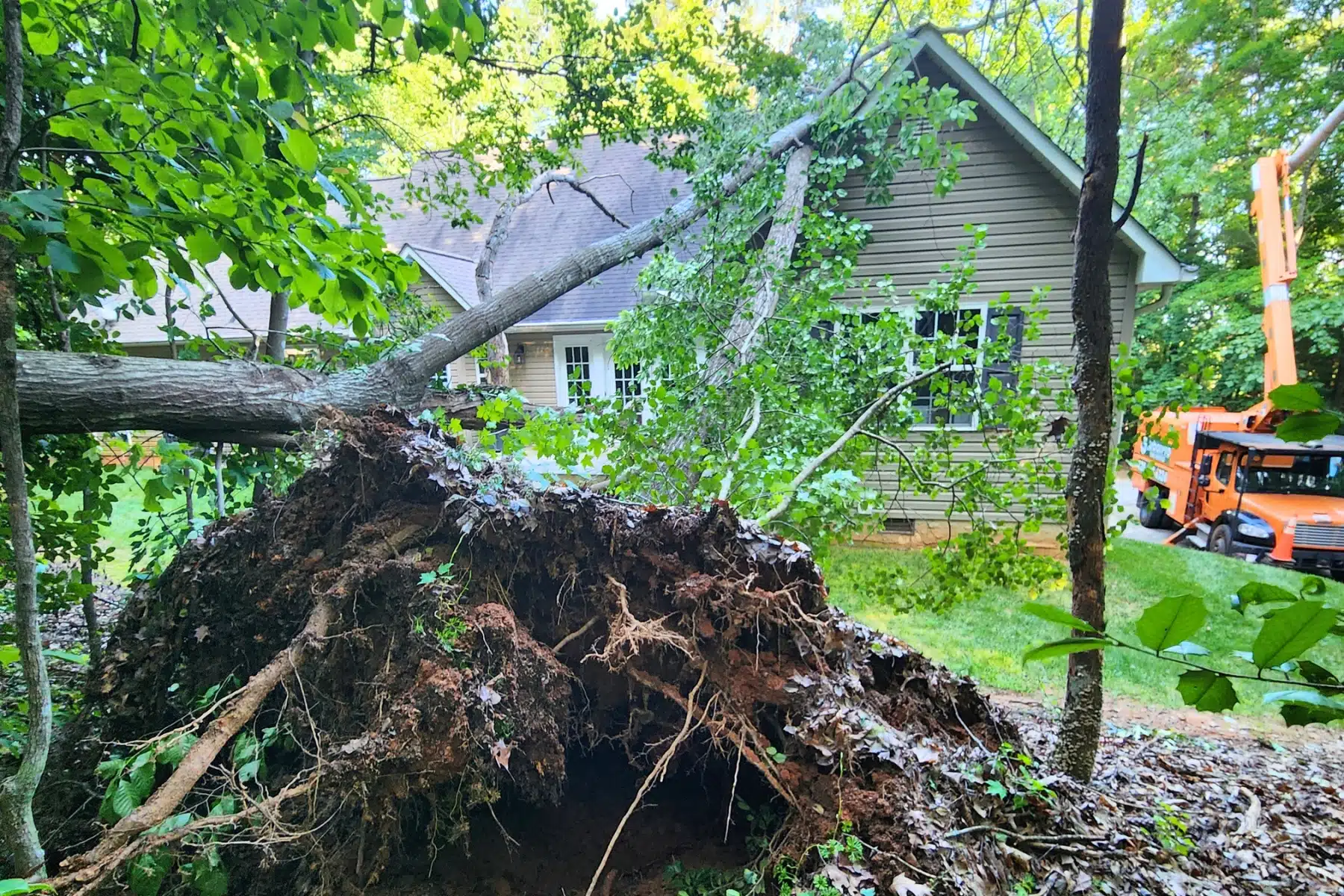 Emergency Removal Services Residential Home ArborPro Tree Service North Carolina