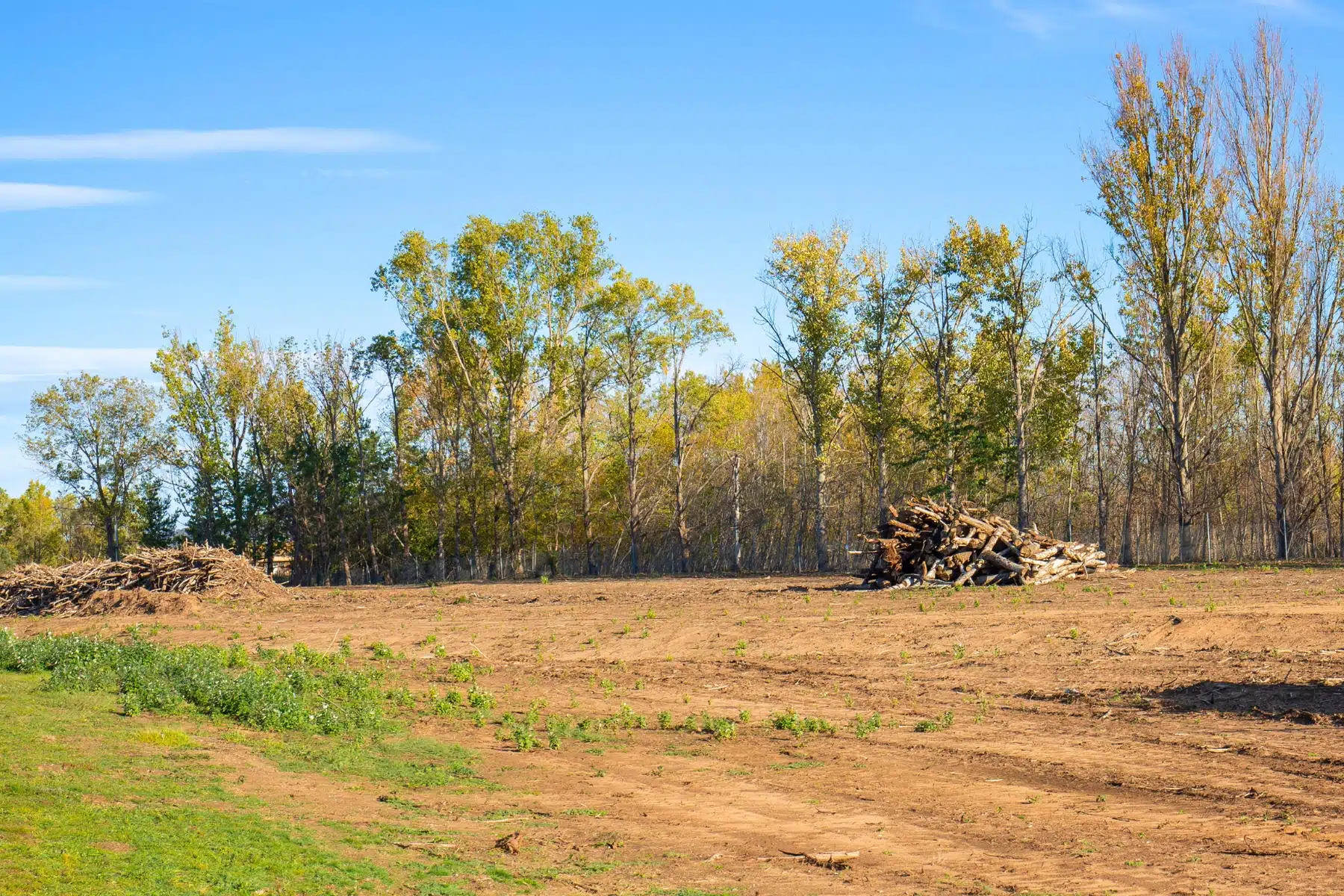 Expert Lot Clearing Services ArborPro Tree Service North Carolina