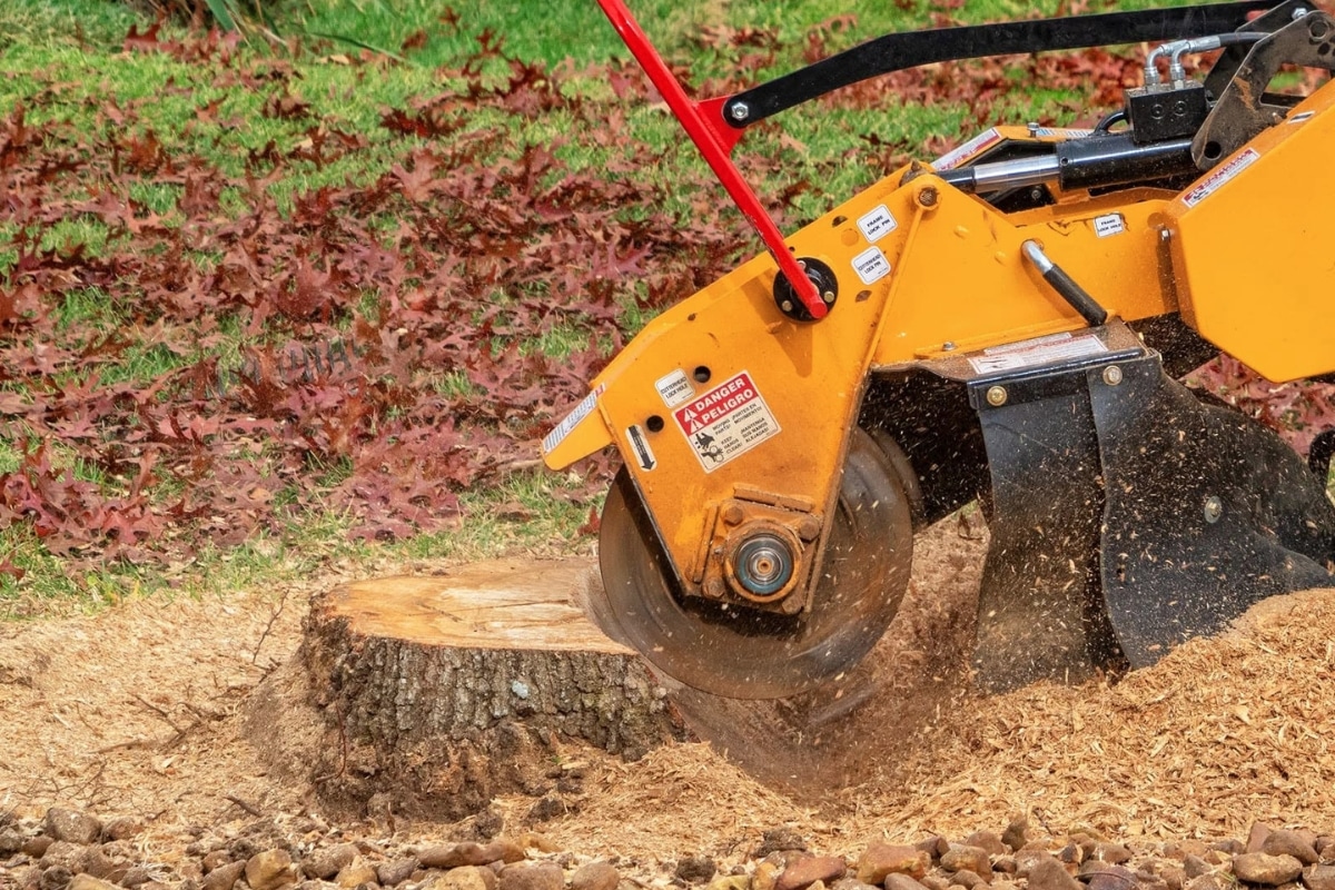Professional Stump Grinding Services Stump Removal ArborPro Tree Service North Carolina