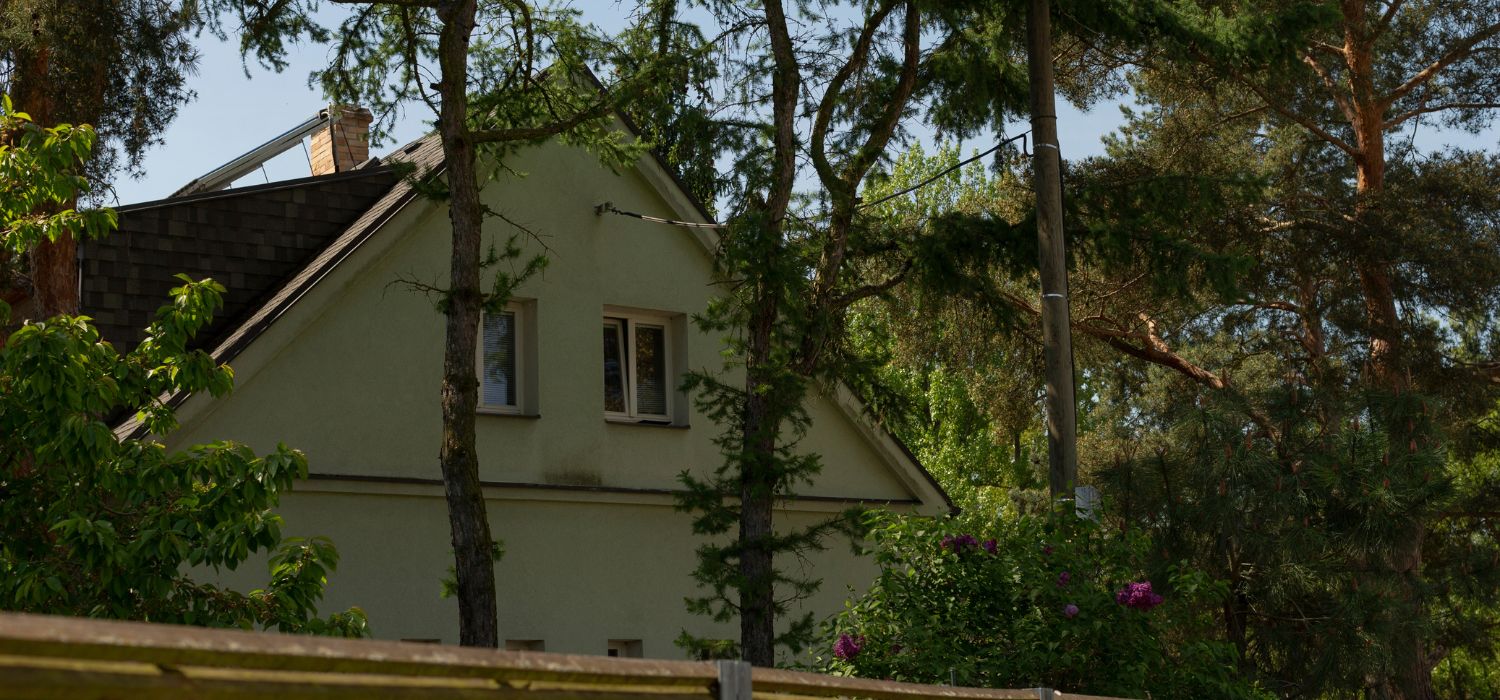 Commercial Tree Services in Burke & Caldwell County