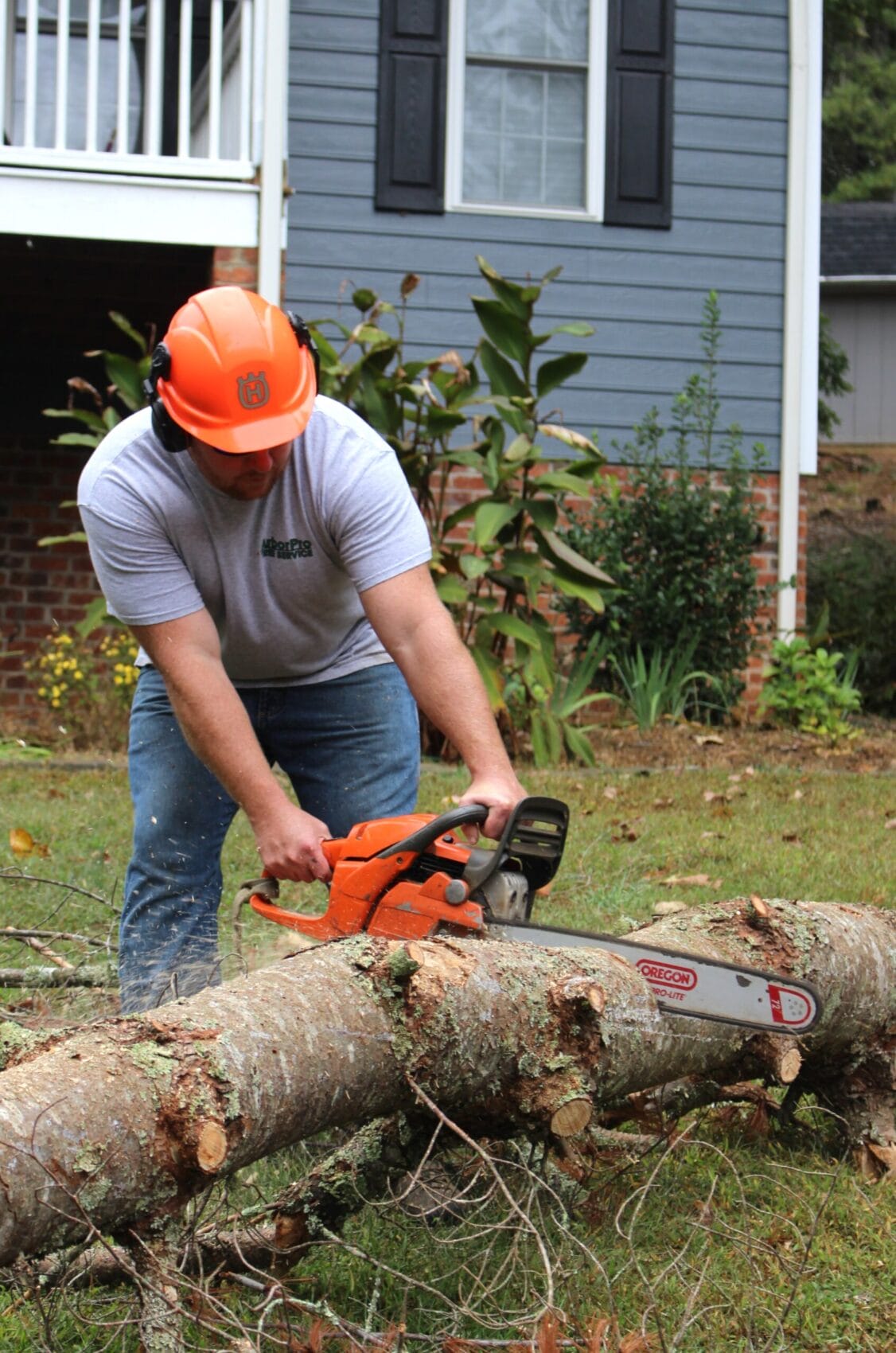 Man cutting up a fallen tree
