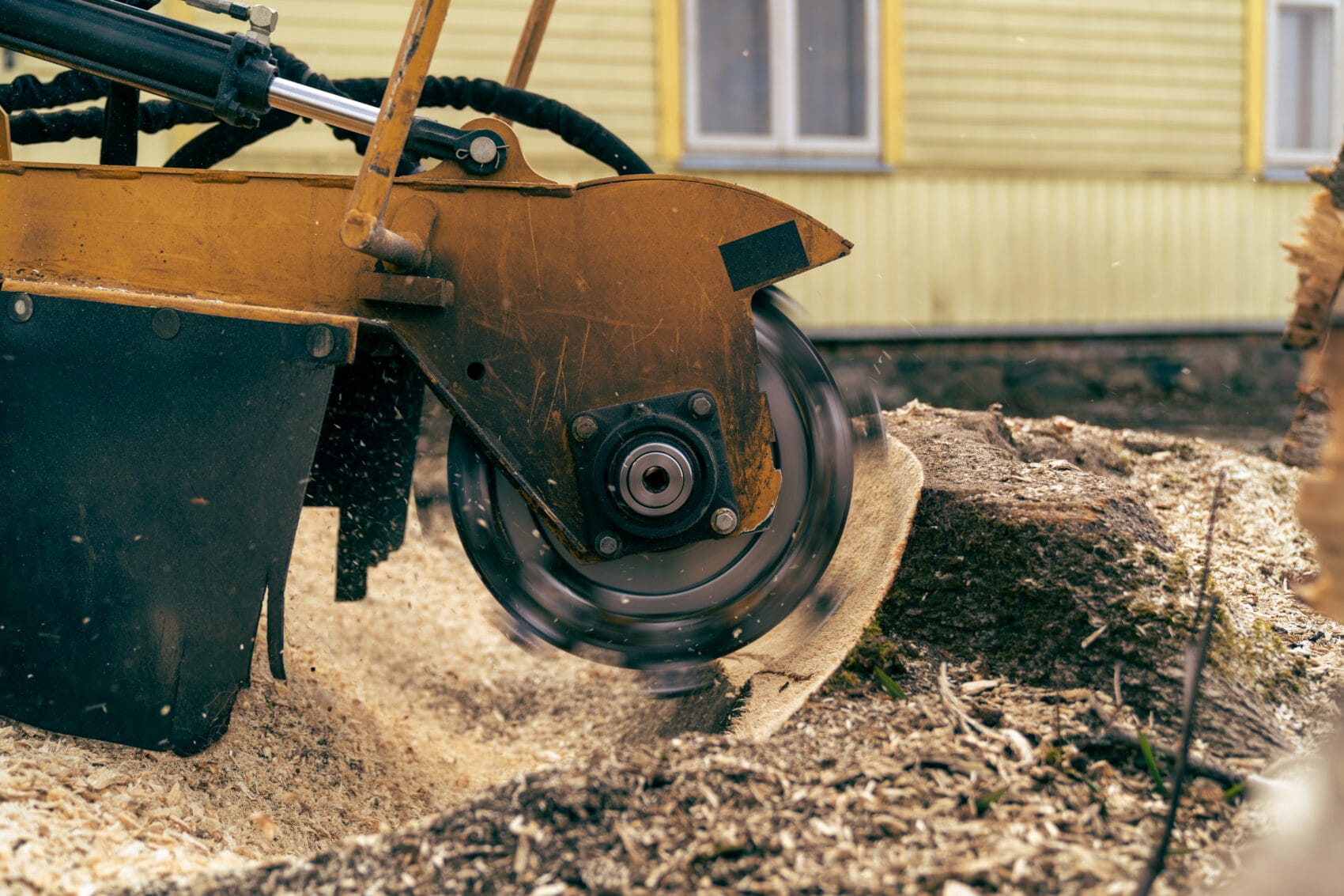 close view of Stump grinder