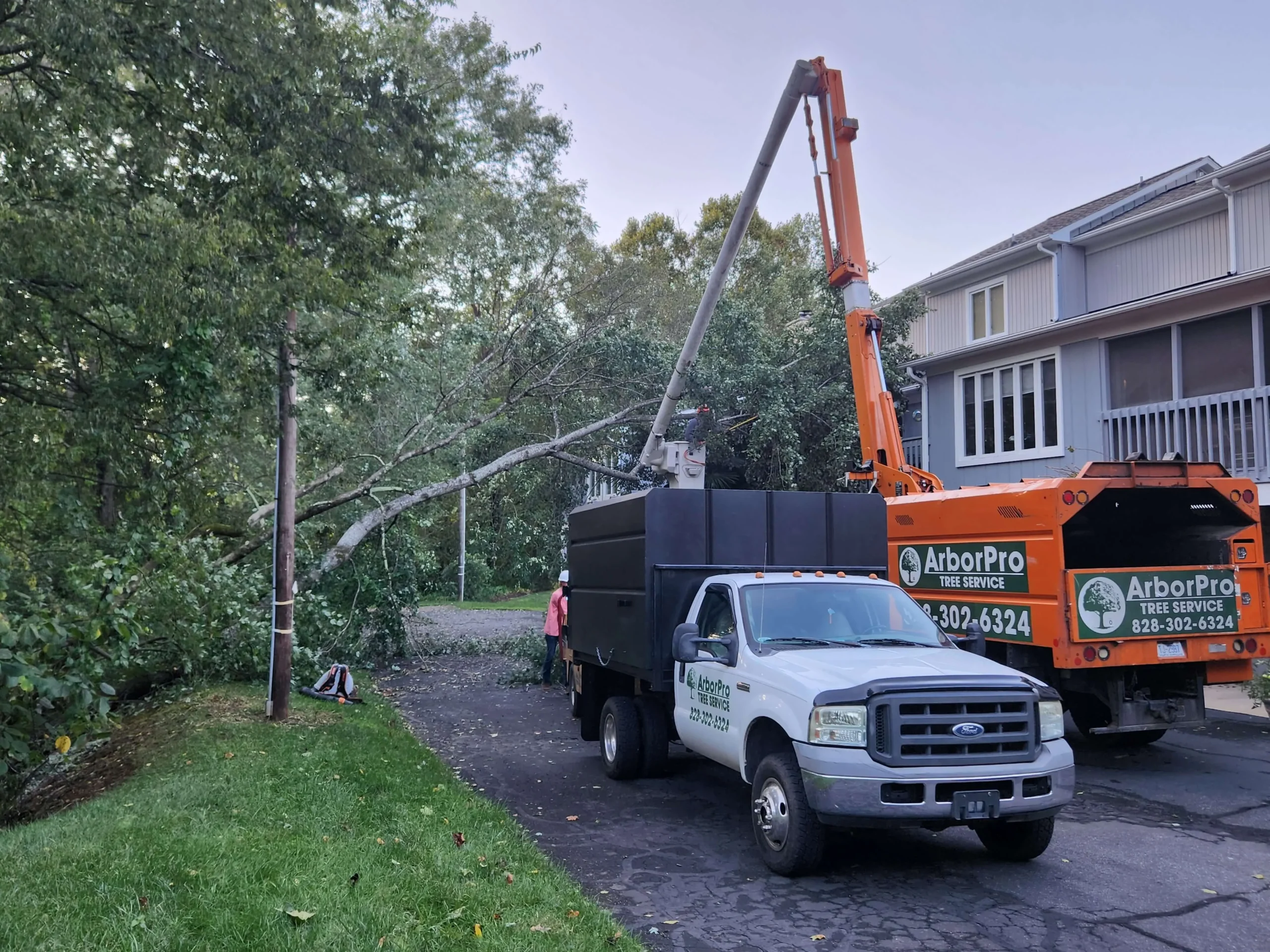 A tree removal crew from ArborPro Tree Service works to clear a fallen tree from a residential driveway using a bucket truck and wood chipper.